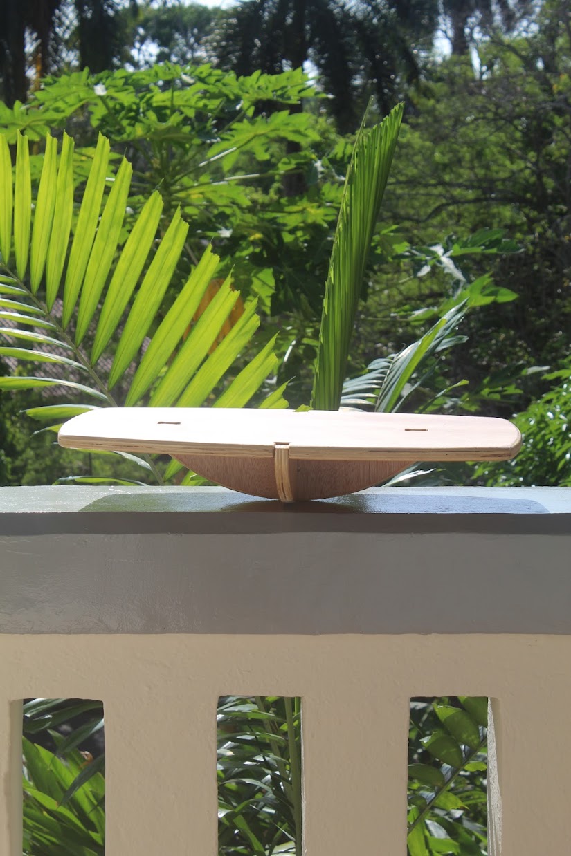 The Easy Balance Board