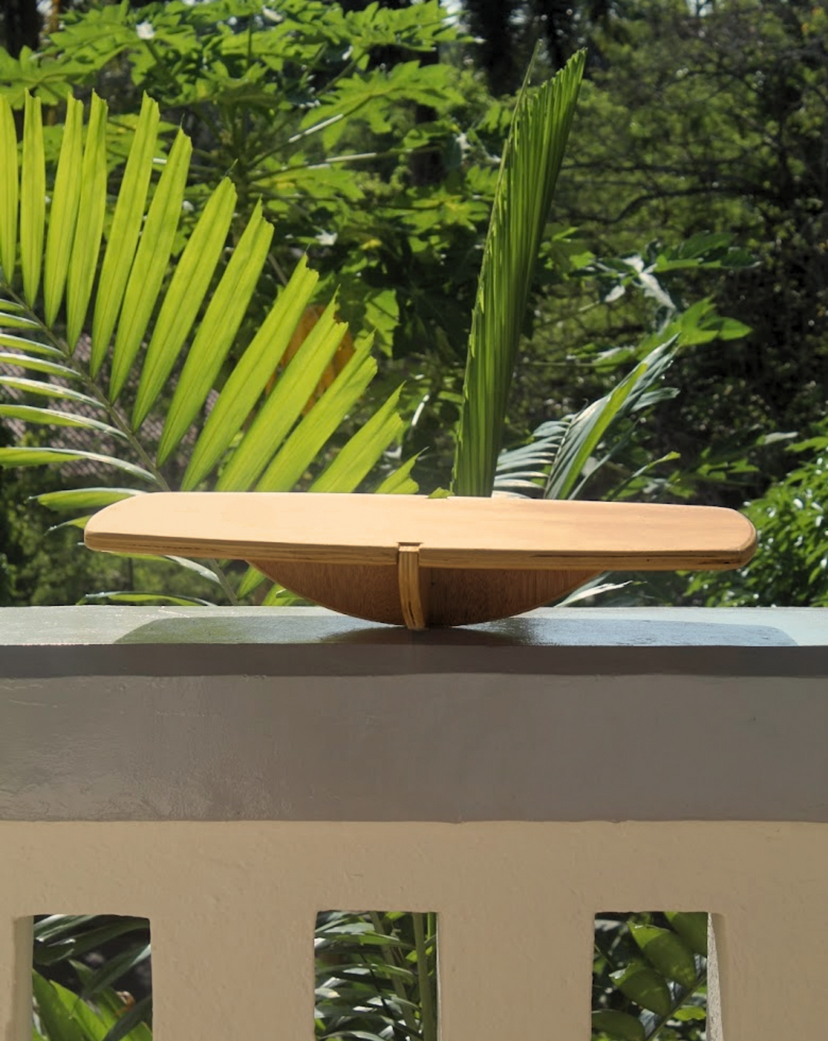 The Easy Balance Board