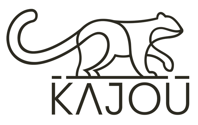 Kajou Workshop